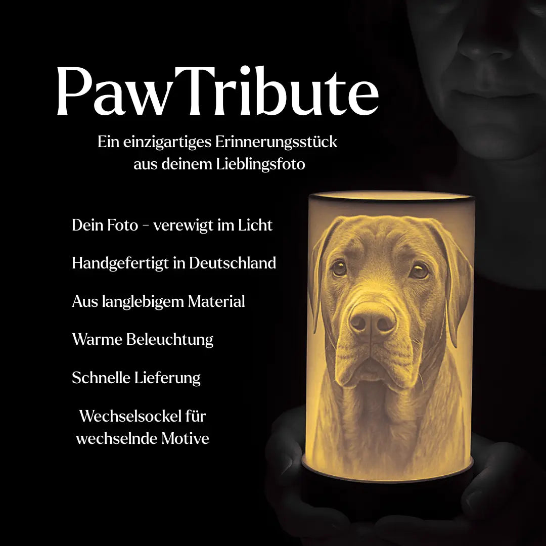 PawTribute personalisierte LED-Gedenklampe für Haustiere, beleuchtet – Detailansicht
