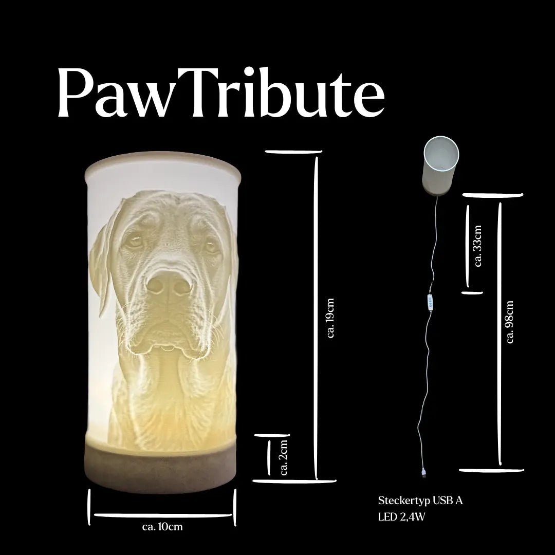 PawTribute LED-Gedenklampe mit Gravur – beleuchtet, mit sichtbaren Maßen und Proportionen